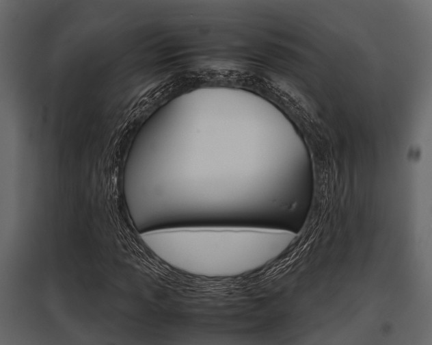 X0000097801013200803140731