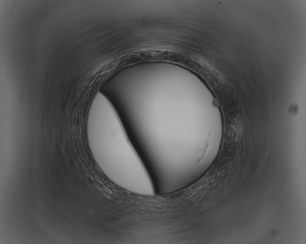 X0000097801014200803140731