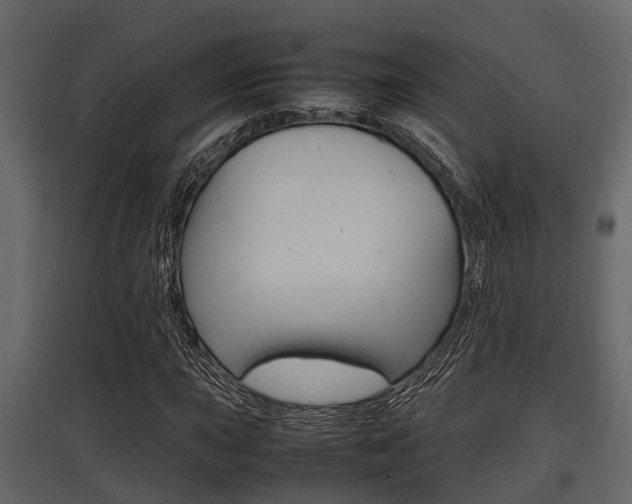 X0000097801015200803140731