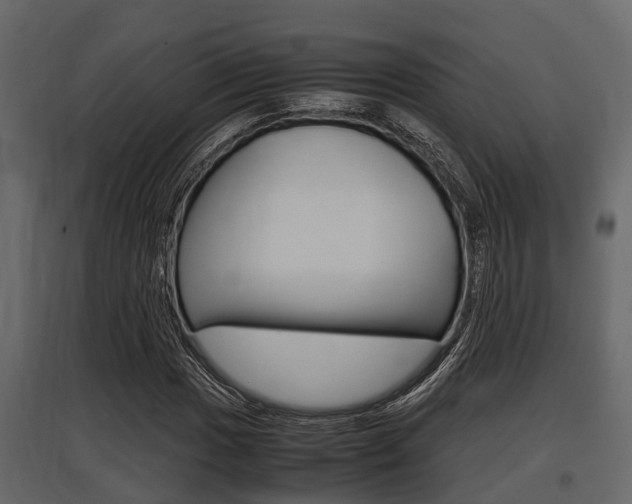 X0000097801017200803140731