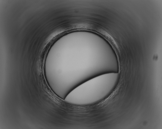 X0000097801019200803140731