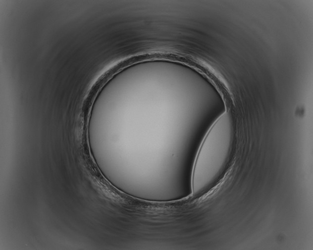 X0000097801021200803140731
