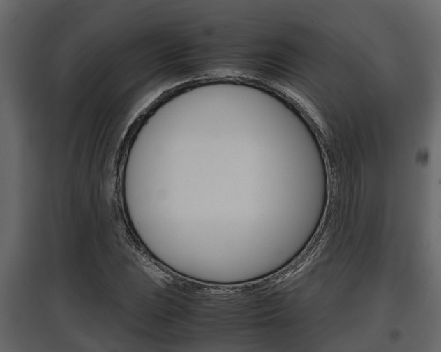 X0000097801023200803140731