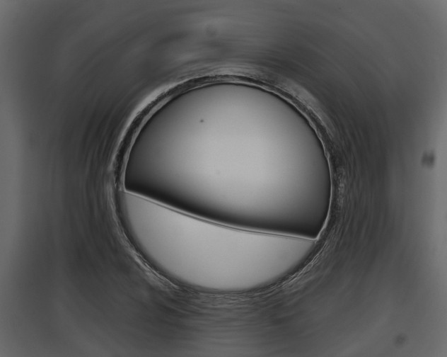 X0000097801024200803140731
