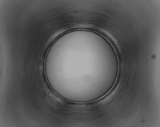 X0000097801025200803140731
