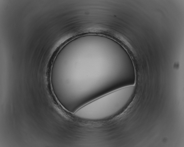 X0000097801026200803140731