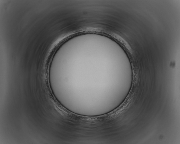 X0000097801027200803140731