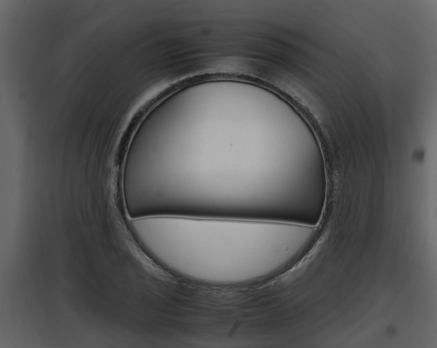 X0000097801029200803140732