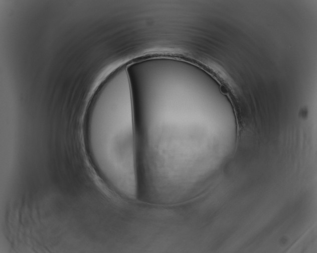 X0000097801030200803140732