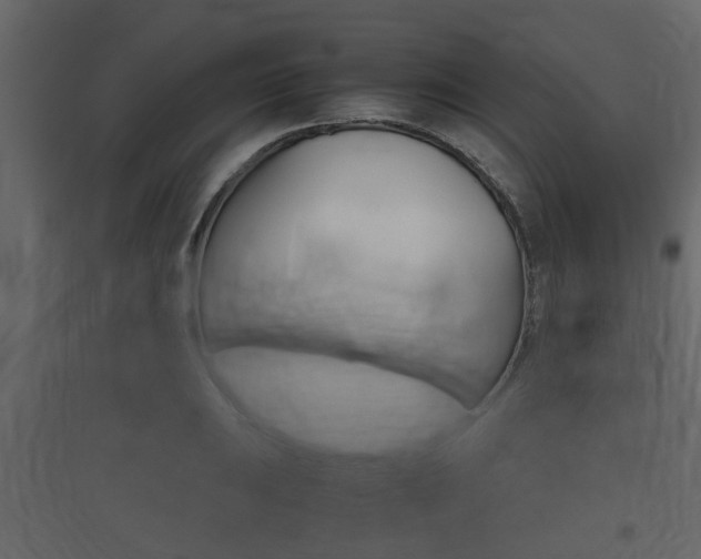 X0000097801031200803140732