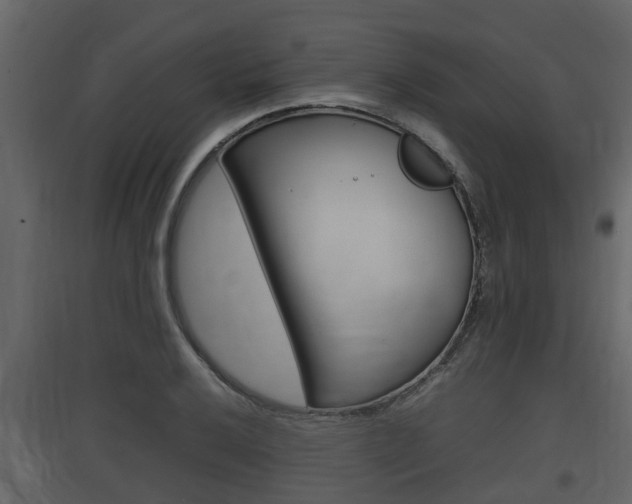 X0000097801032200803140732
