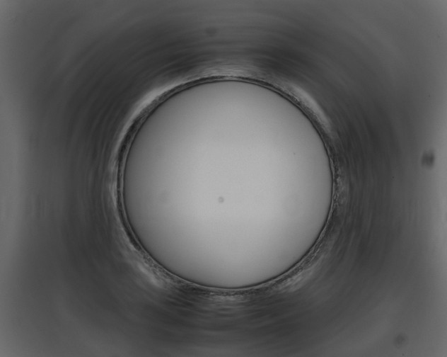 X0000097801035200803140732