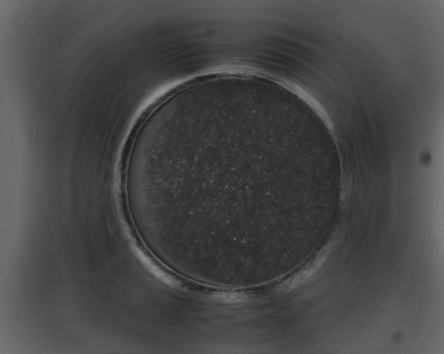 X0000097801037200803140732