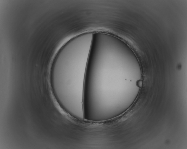 X0000097801038200803140732