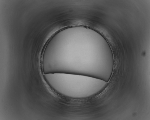 X0000097801039200803140732