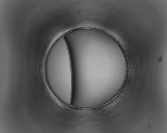 X0000097801040200803140732