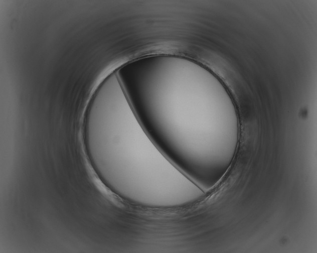 X0000097801042200803140732