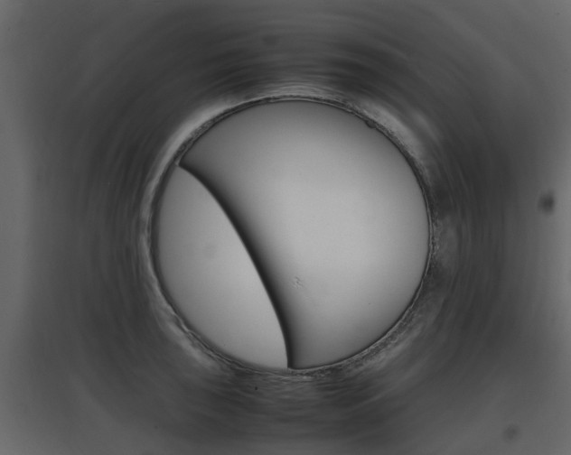 X0000097801043200803140732