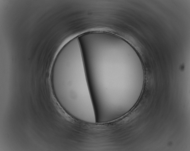X0000097801044200803140732