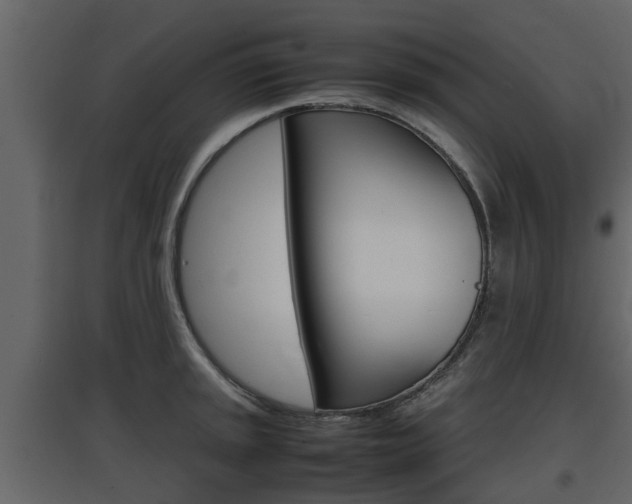 X0000097801045200803140732
