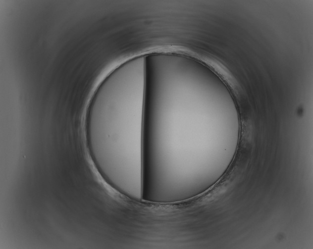 X0000097801046200803140732