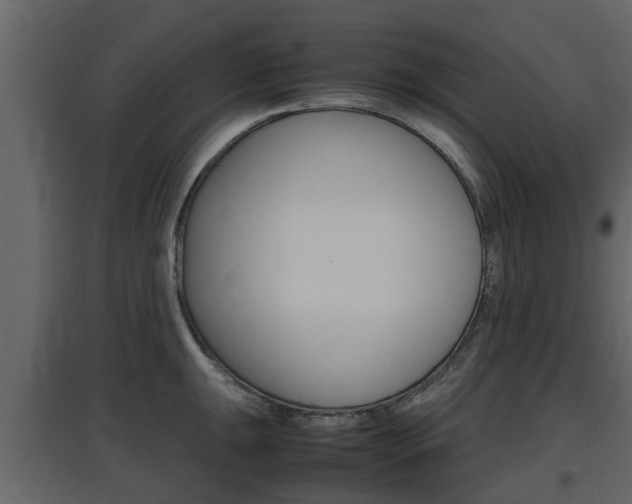 X0000097801047200803140732
