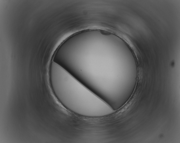 X0000097801048200803140732