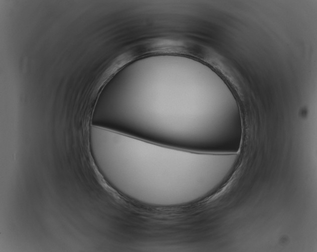 X0000097801049200803140732