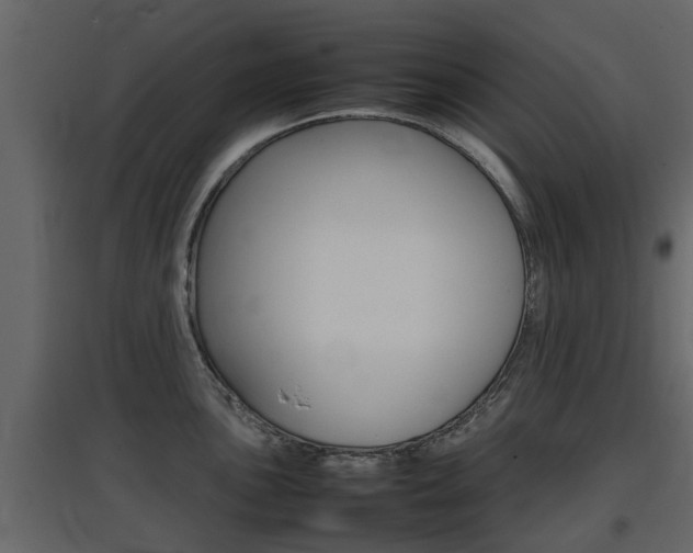 X0000097801051200803140732