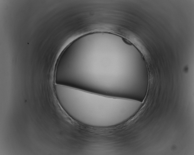 X0000097801052200803140732