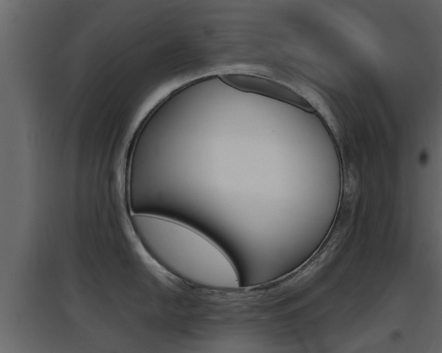 X0000097801054200803140732