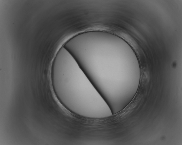 X0000097801055200803140732