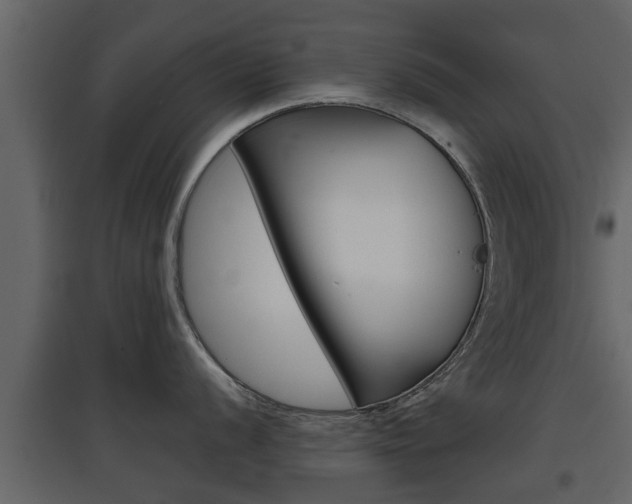 X0000097801056200803140732