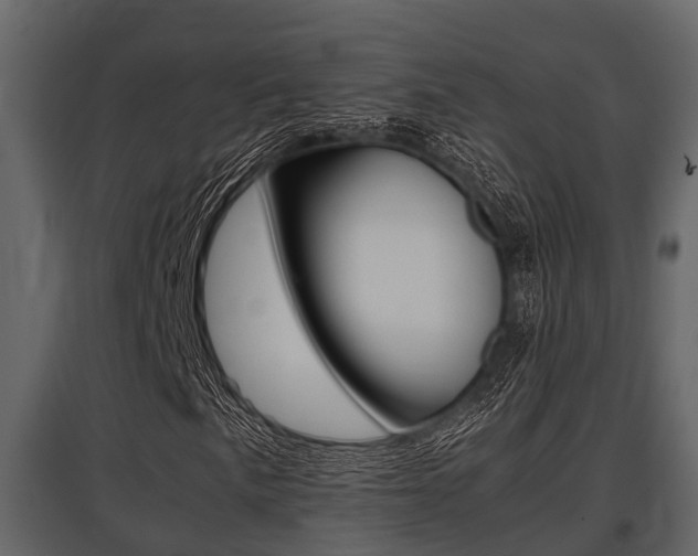 X0000097801057200803140731