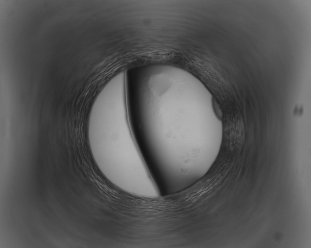 X0000097801058200803140731
