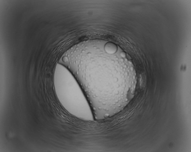 X0000097801059200803140731