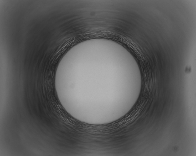 X0000097801060200803140731