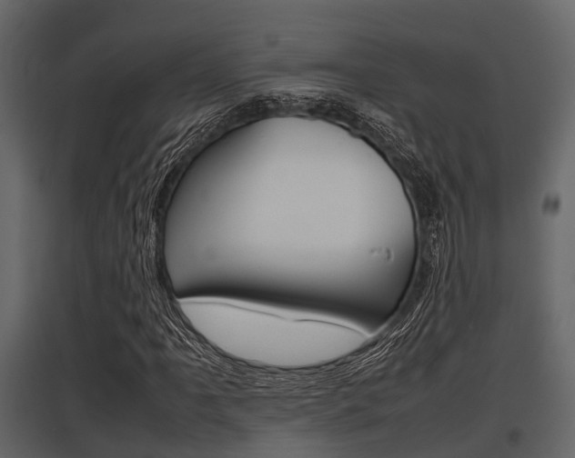 X0000097801061200803140731