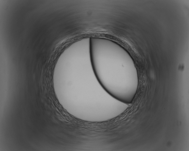 X0000097801063200803140731