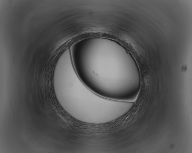 X0000097801064200803140731