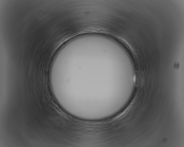 X0000097801065200803140731