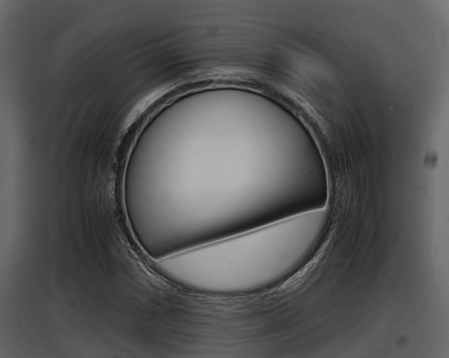 X0000097801066200803140731