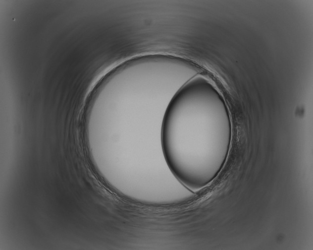 X0000097801069200803140731