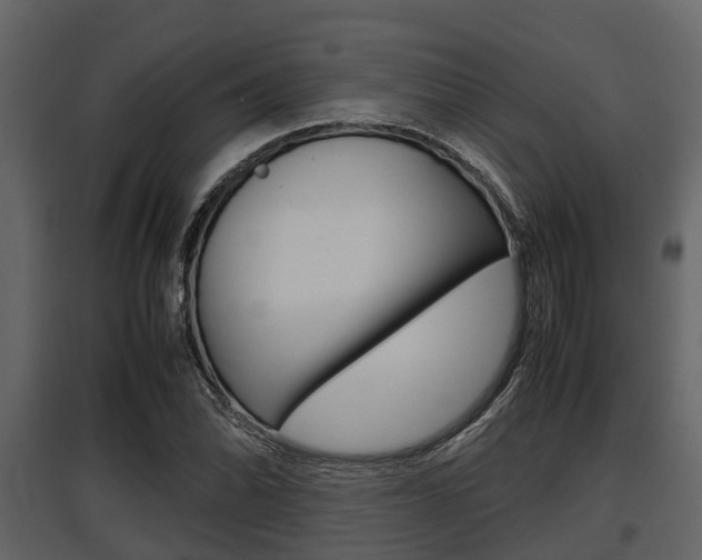 X0000097801070200803140731