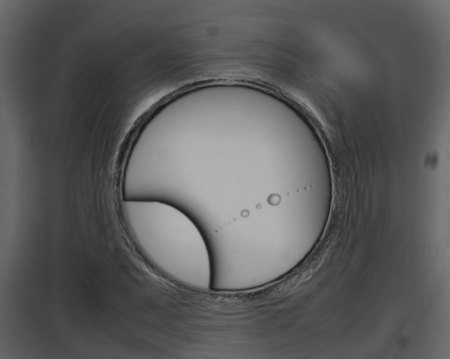 X0000097801071200803140731