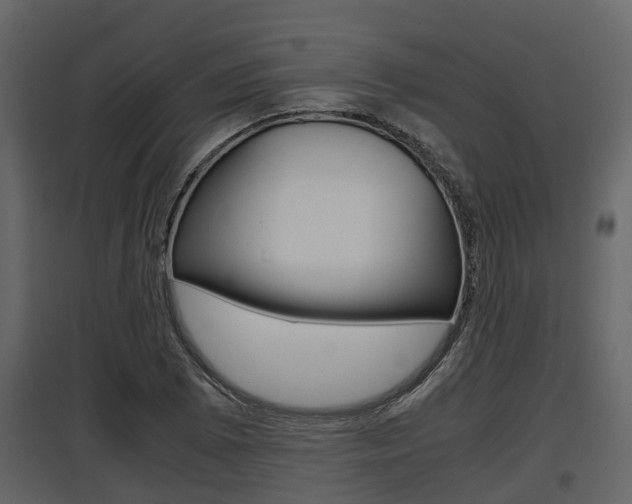X0000097801073200803140731
