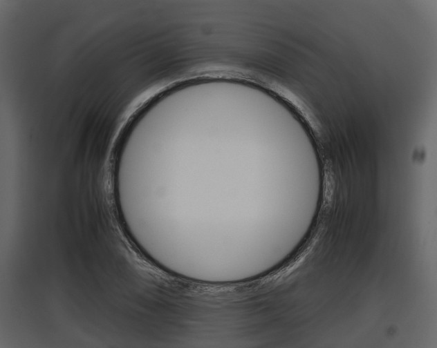 X0000097801074200803140731
