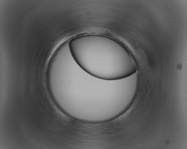 X0000097801075200803140731