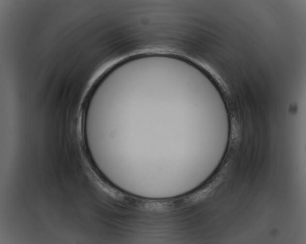 X0000097801078200803140731