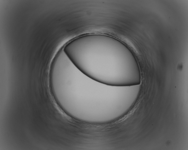 X0000097801079200803140731